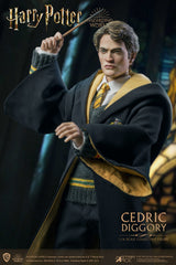 Harry Potter Goblet of Fire Cedric Diggory 1/6 Coll AF Deluxe V Star Ace