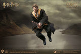 Harry Potter Goblet of Fire Cedric Diggory 1/6 Coll AF Deluxe V Star Ace