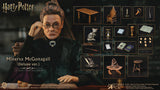 HP Sorcerers Stone Minerva McGonagall 1/6 Action Figure Deluxe