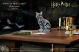 HP Sorcerers Stone Minerva McGonagall 1/6 Action Figure Deluxe