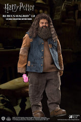 Harry Potter Sorcerers Stone Rubeus Hagrid 2.0 Action Figure 1/6 Star Ace